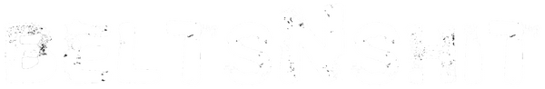 beltsNshit logo